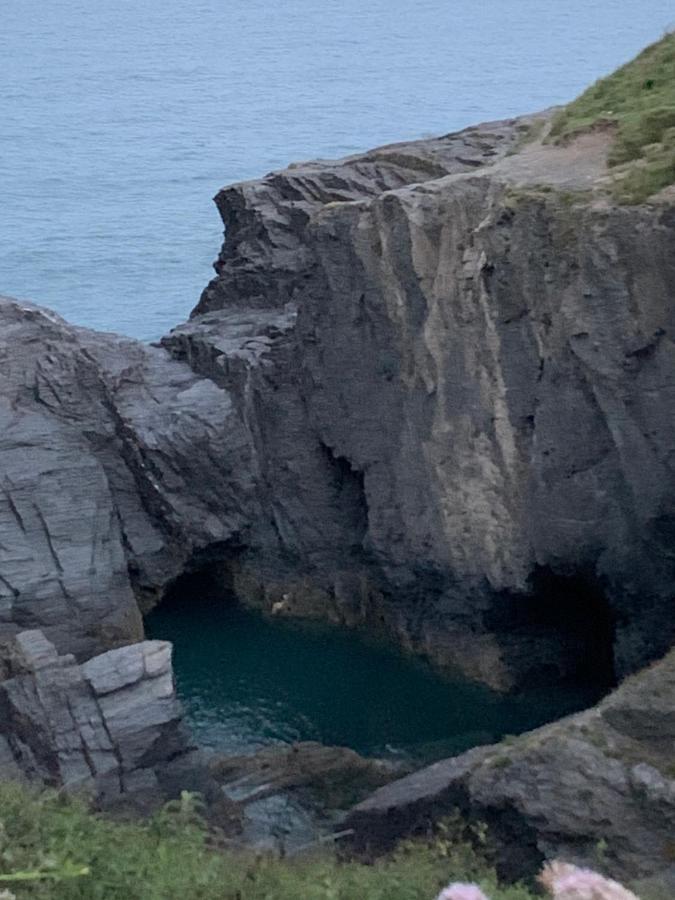 Wild Coastal Retreat At Troed Y Rhiw Aberporth, West Wales Villa Bagian luar foto
