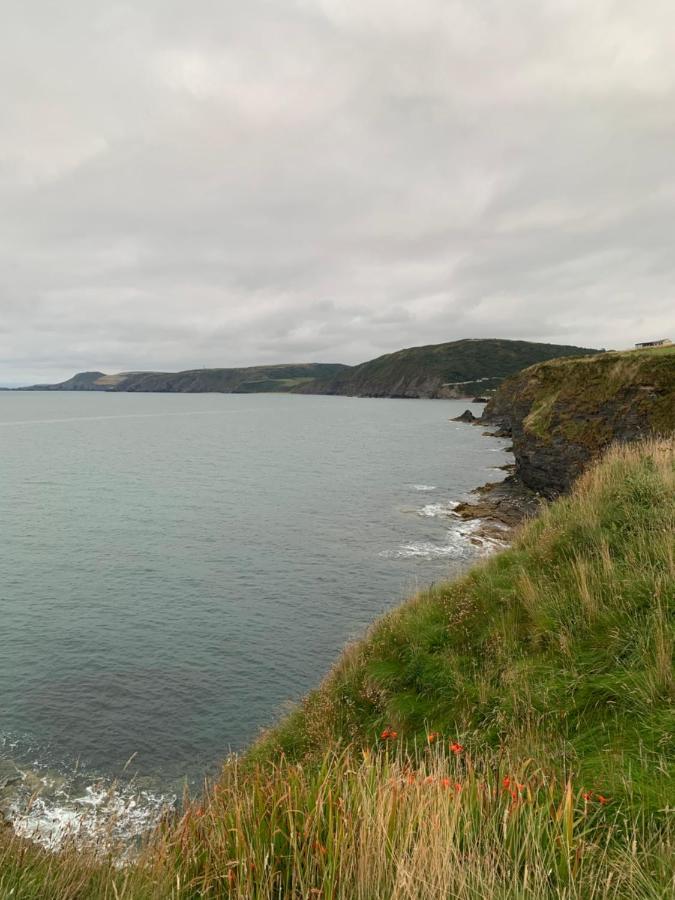 Wild Coastal Retreat At Troed Y Rhiw Aberporth, West Wales Villa Bagian luar foto