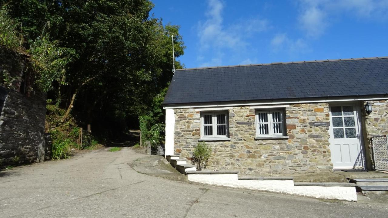 Wild Coastal Retreat At Troed Y Rhiw Aberporth, West Wales Villa Bagian luar foto