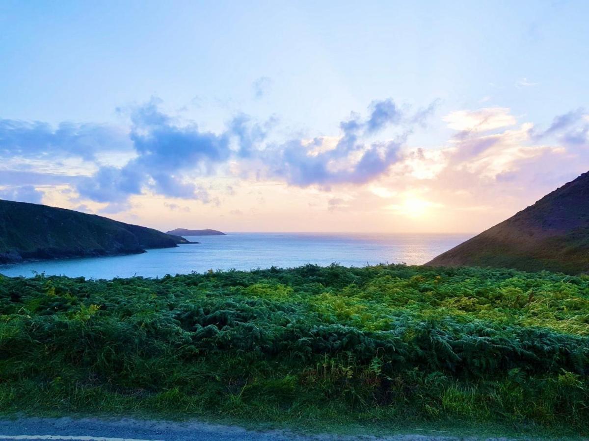 Wild Coastal Retreat At Troed Y Rhiw Aberporth, West Wales Villa Bagian luar foto